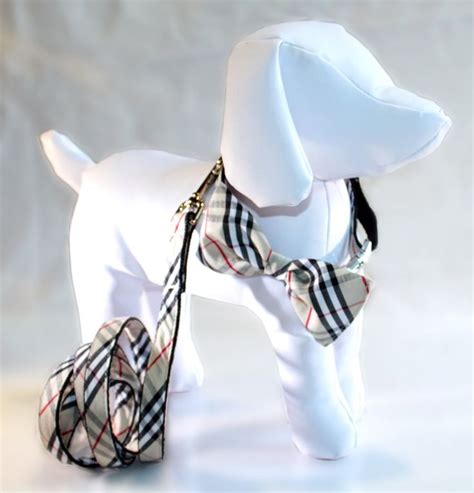 burberry bow tie dog collar.